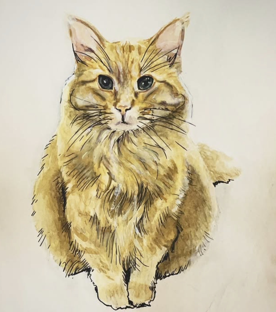 Watercolor portrait of an orange cat