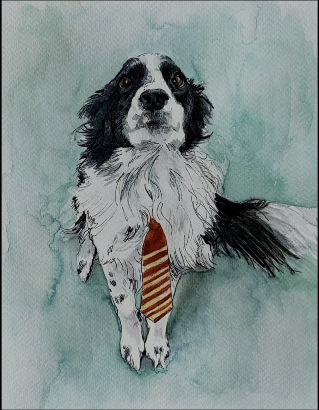 Watercolor portrait of a black and white spaniel wearing a striped tie